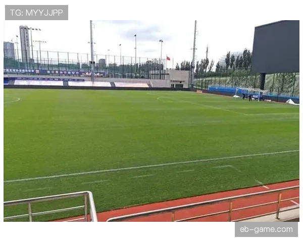 草坪场地规则拆解：职业比赛必须满足哪些标准？